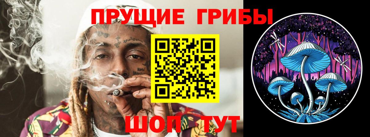 Псилоцибиновые грибы Psilocybine cubensis  Вход с VPN  Алексеевка 