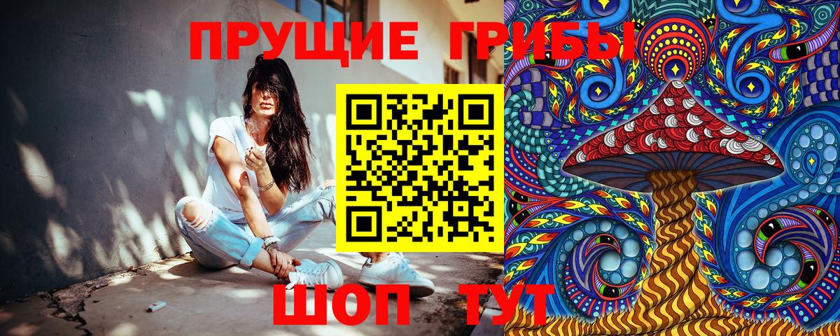 Псилоцибиновые грибы Psilocybine cubensis Алексеевка